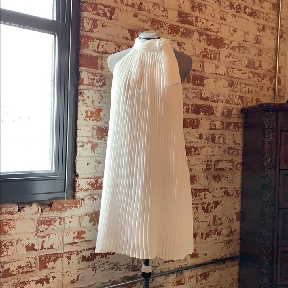 John Meyer Chiffon Pleated Dress